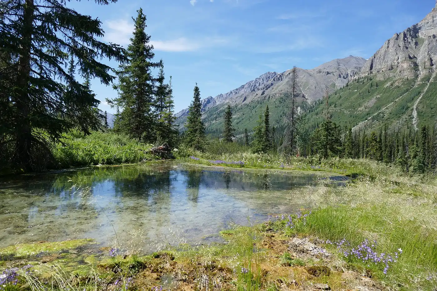 Greater Yukon (NA6)
