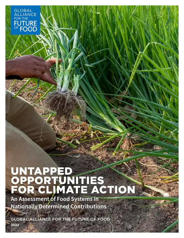 Untapped Opportunities for Climate Action