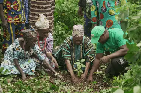 Protecting the Lower Ouémé Valley Biosphere Reserve of South Benin through an agroecological buffer zone
