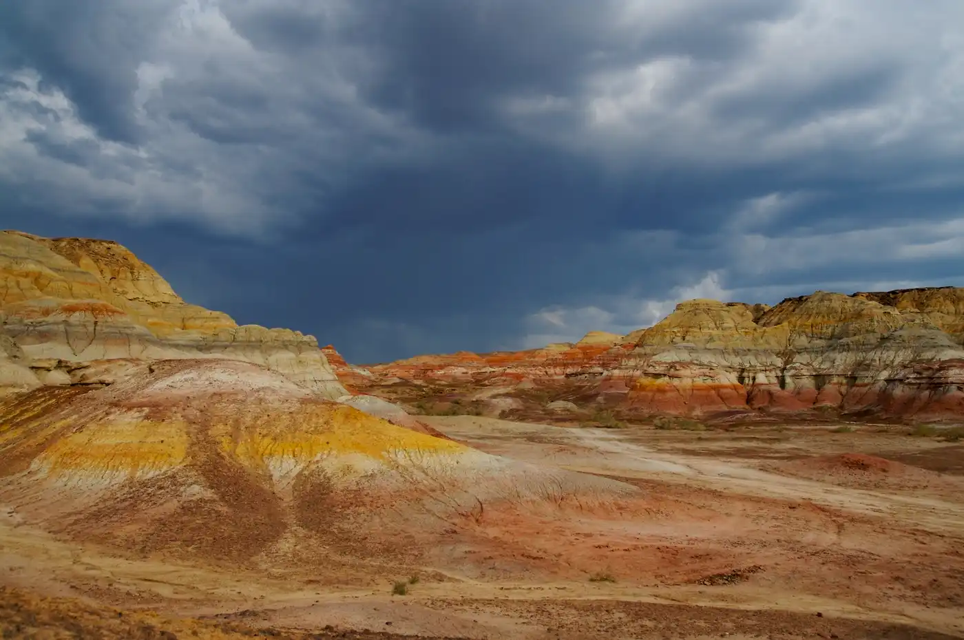 Junggar Semi-Desert & Ermin Valley Steppe (PA38)