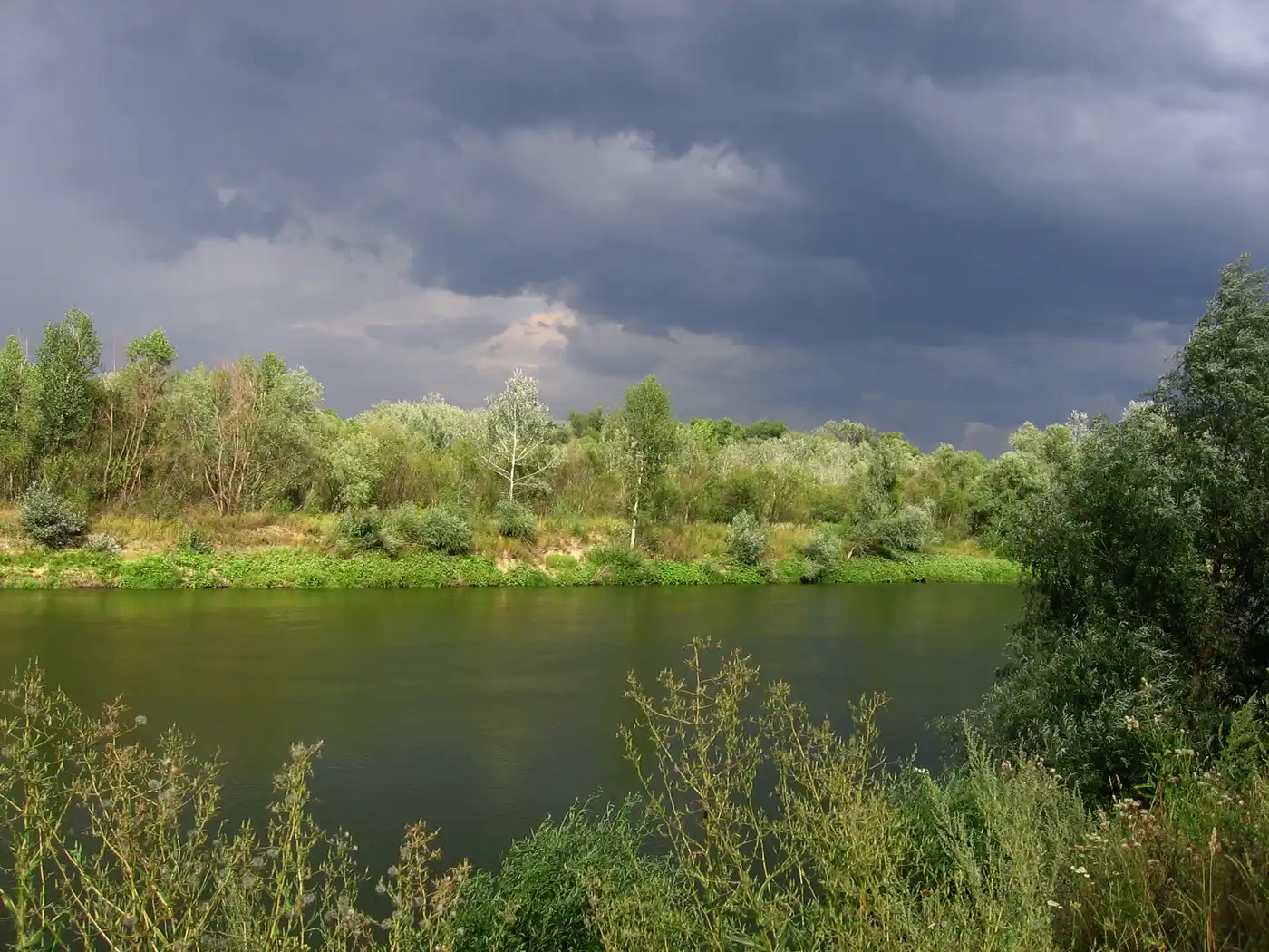 European Interior Mixed Forests (PA12)