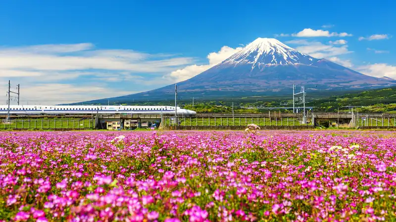 Shinkanzen (bullet train) by Mt. Fuji. Image Credit: © Blanscape, Dreamstime.