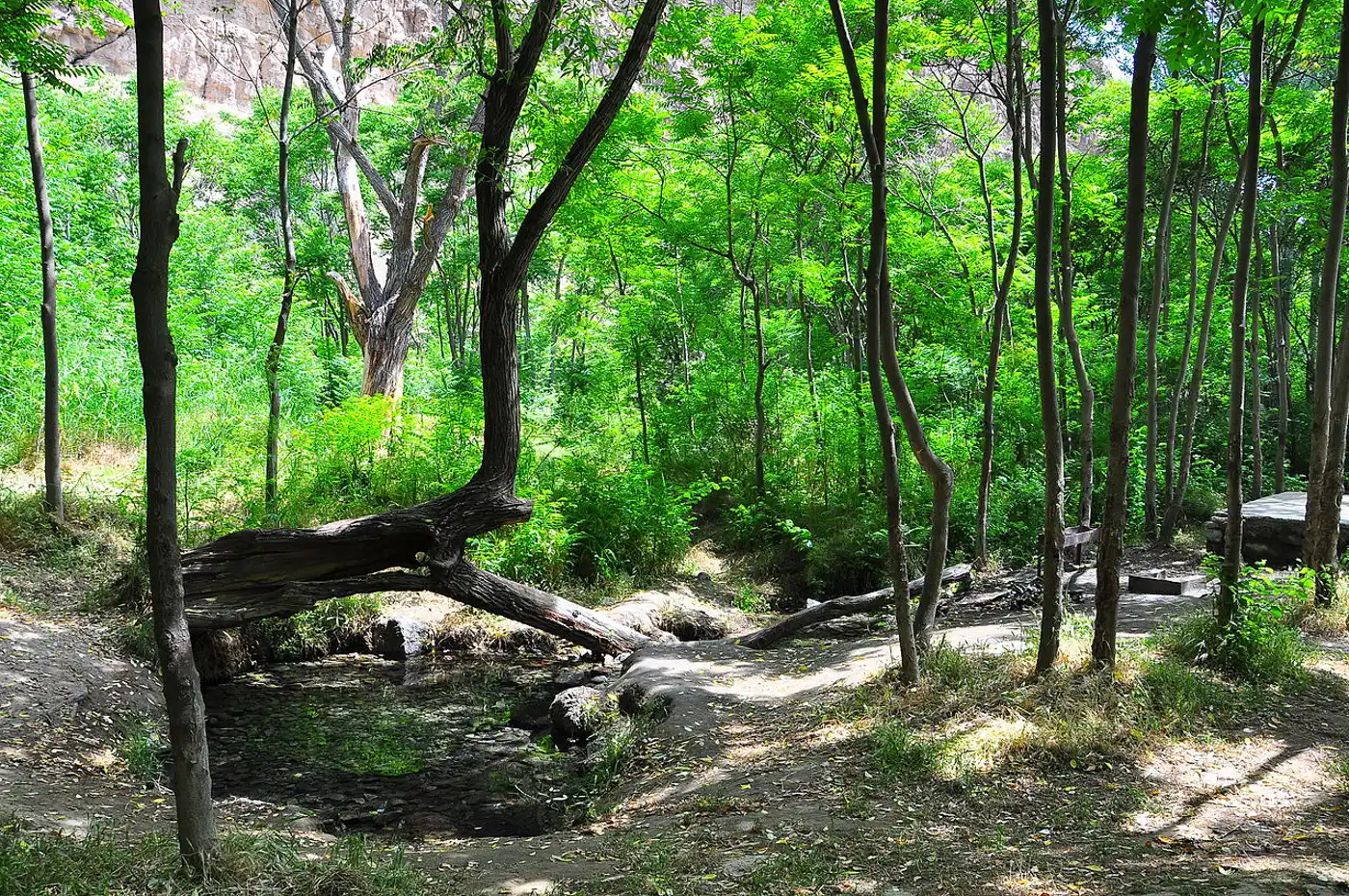 Caspian Sea, Coastal Deserts & Kopet Dagh Mountain Woodlands (PA33)
