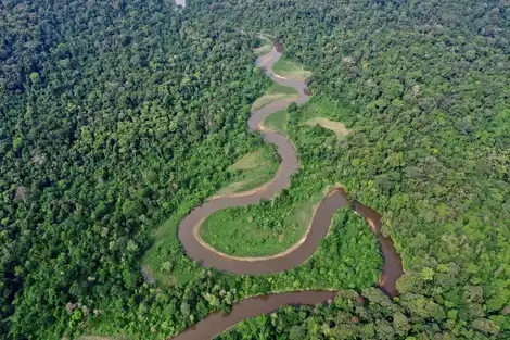 Conkouati-Douli National Park in the Republic of Congo. Image credit: Flicker, CC by 2.0, © Laboureur/Noé