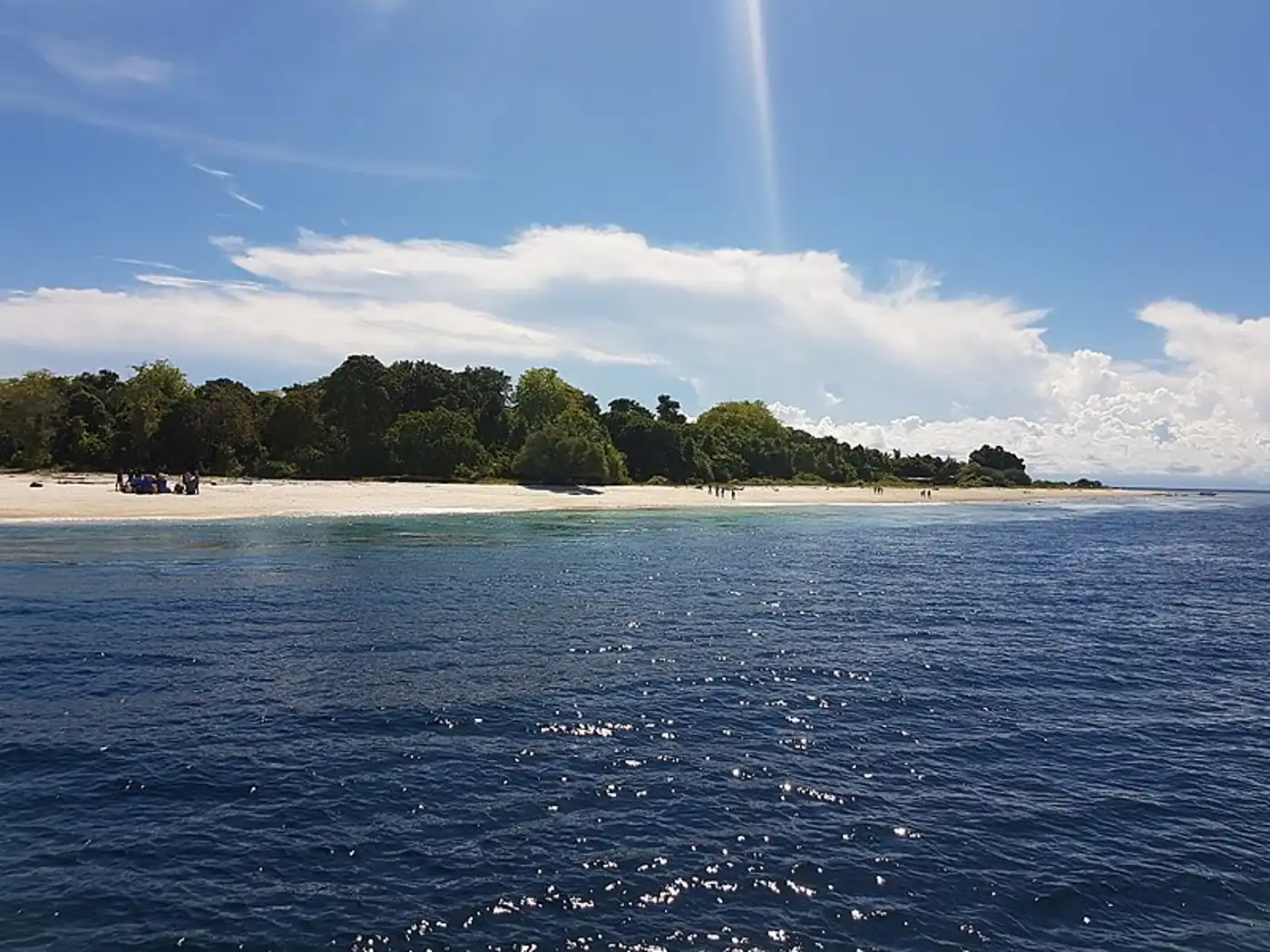 Philippines & Sulu Sea Tropical Forests (IM15)