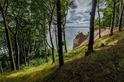 West European Coastal Mixed Forests (PA10)