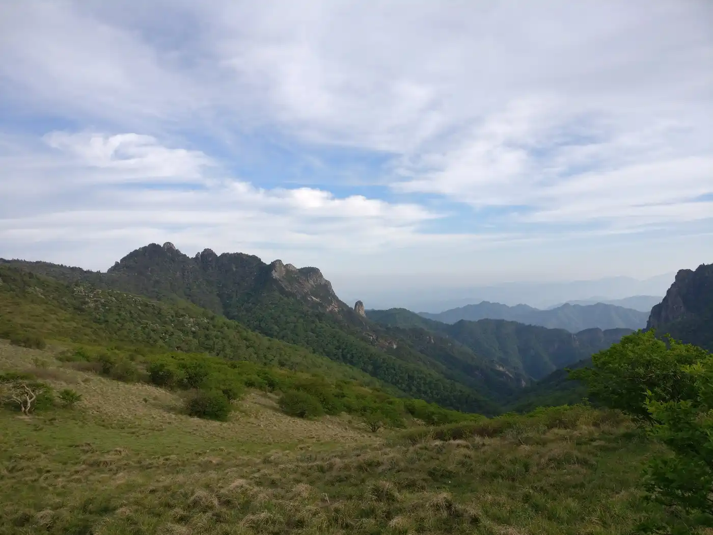 Sichuan Basin & Central Mountain Forests (PA51)