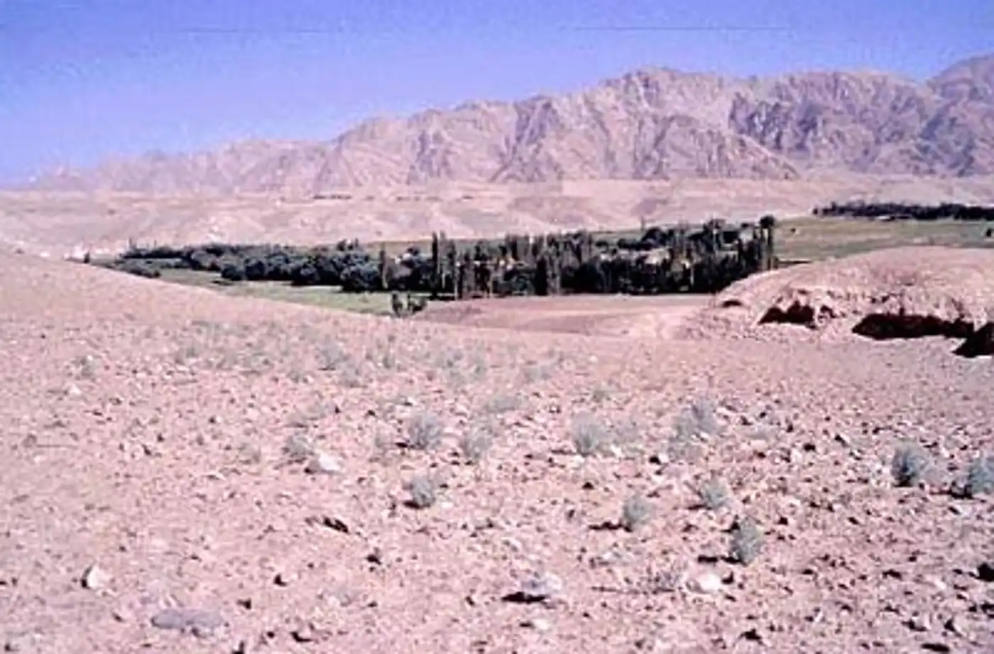 North Indomalayan Deserts & Scrub Forest (IM4)