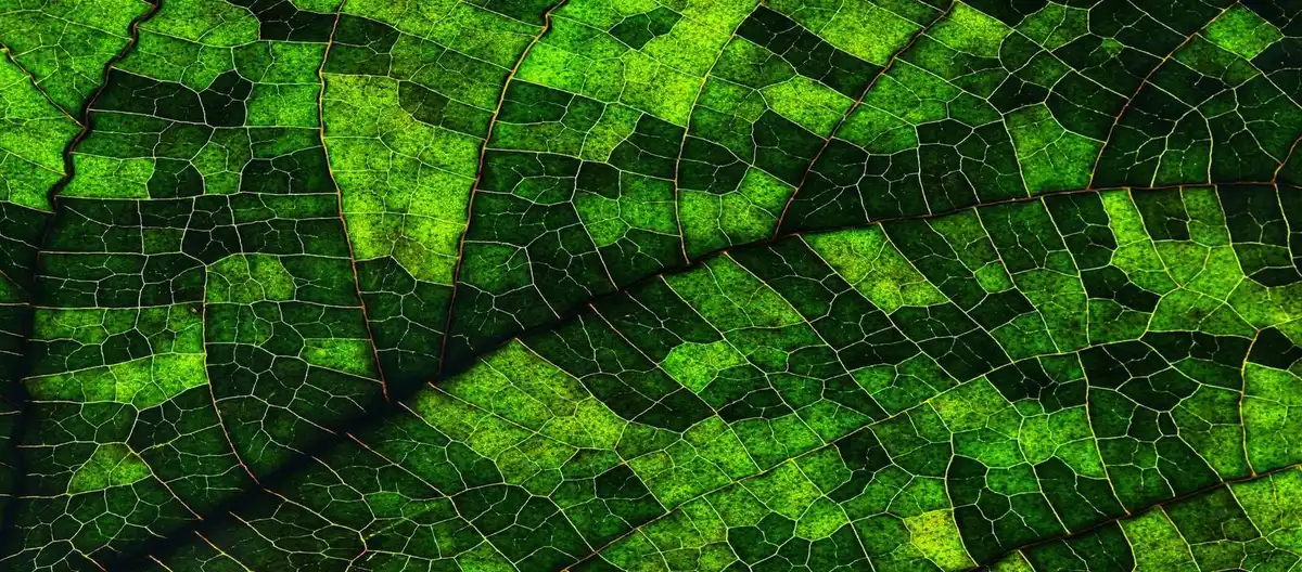 One Earth Solutions Framework
