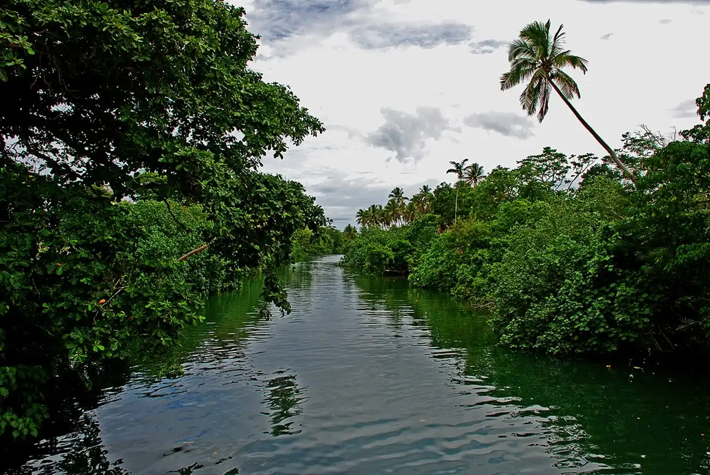 Vanuatu Islands (AU11)