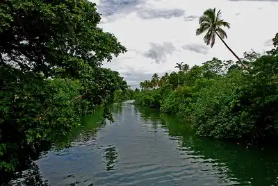 Vanuatu Islands (AU11)