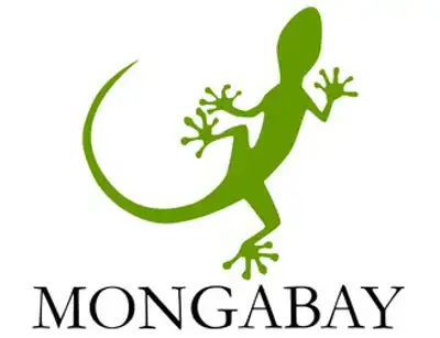 Mongabay
