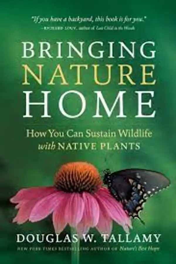 Bringing Nature Home: How Native Plants Sustain Wildlife in Our Gardens