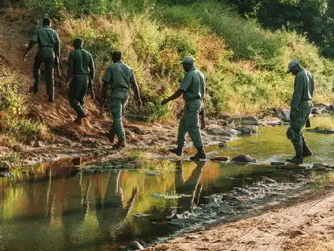 Supporting Solar-powered Conservation of the Zambezi Valley in Zimbabwe