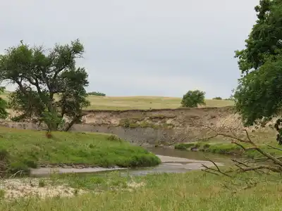 Southern Prairie Mixed Grasslands (NA20)