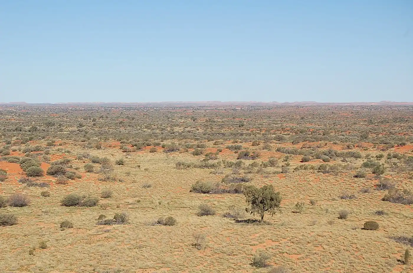 Greater Australian Interior Desert & Shrublands (AU7)