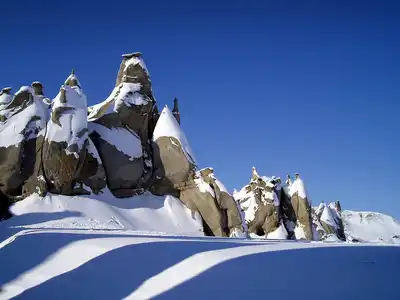 Canadian Tundra (NA2)
