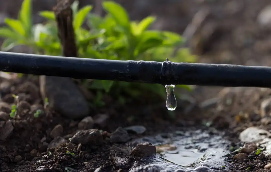 Dryland Irrigation