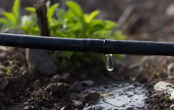 Dryland Irrigation