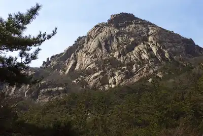 Korean Peninsula Mixed Forests (PA48)