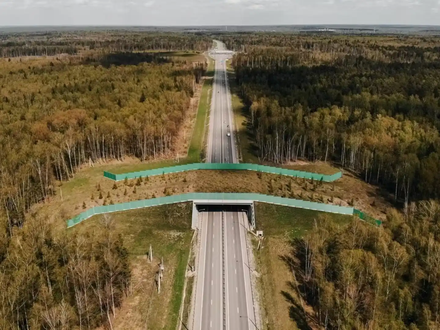 Connectivity: Ecological corridors are key to protecting biodiversity