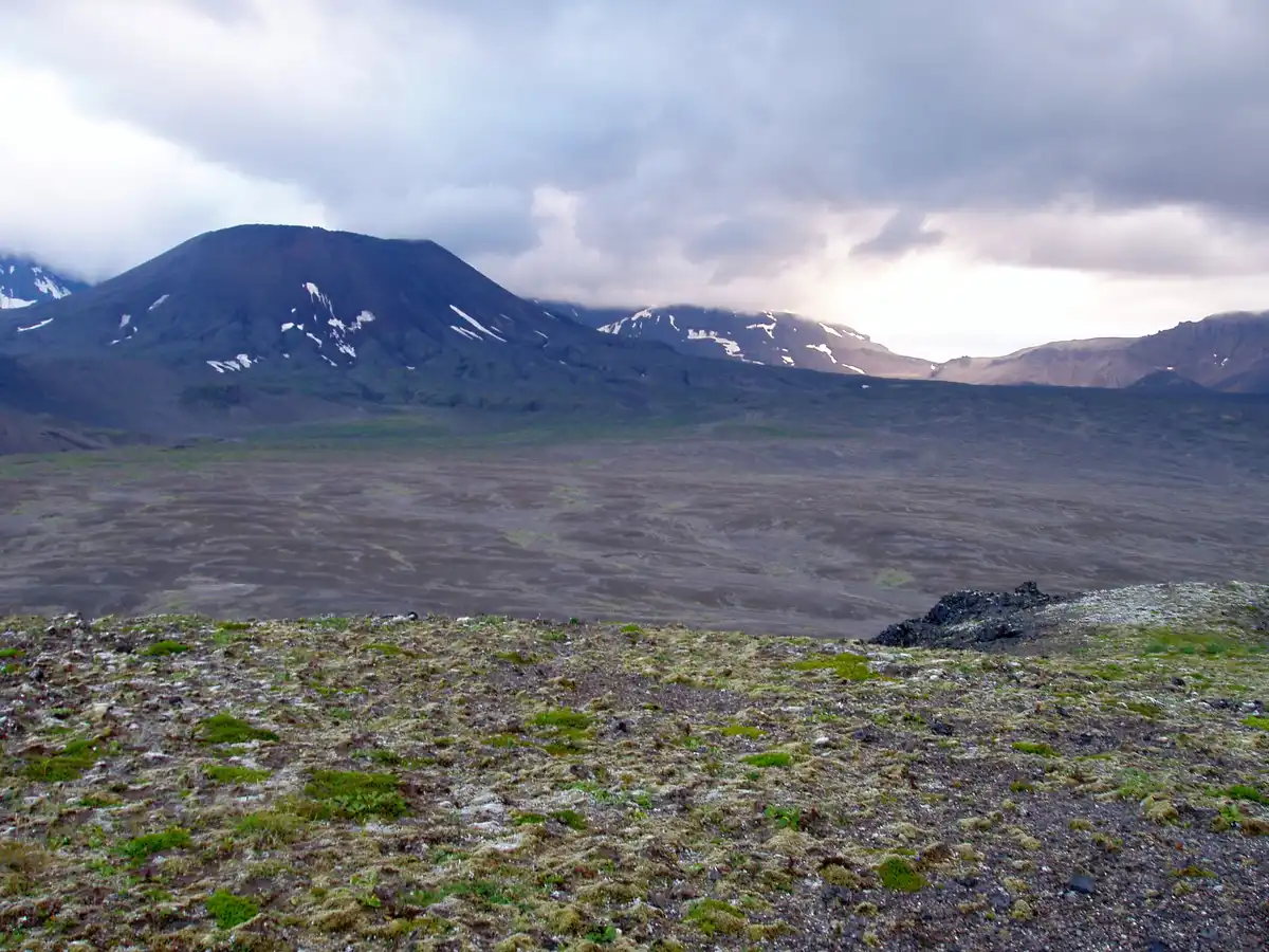 Greater Alaska Taiga & Tundra (NA4)