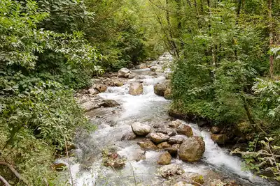 Adriatic Sea & Central Mediterranean Mixed Forests (PA19)
