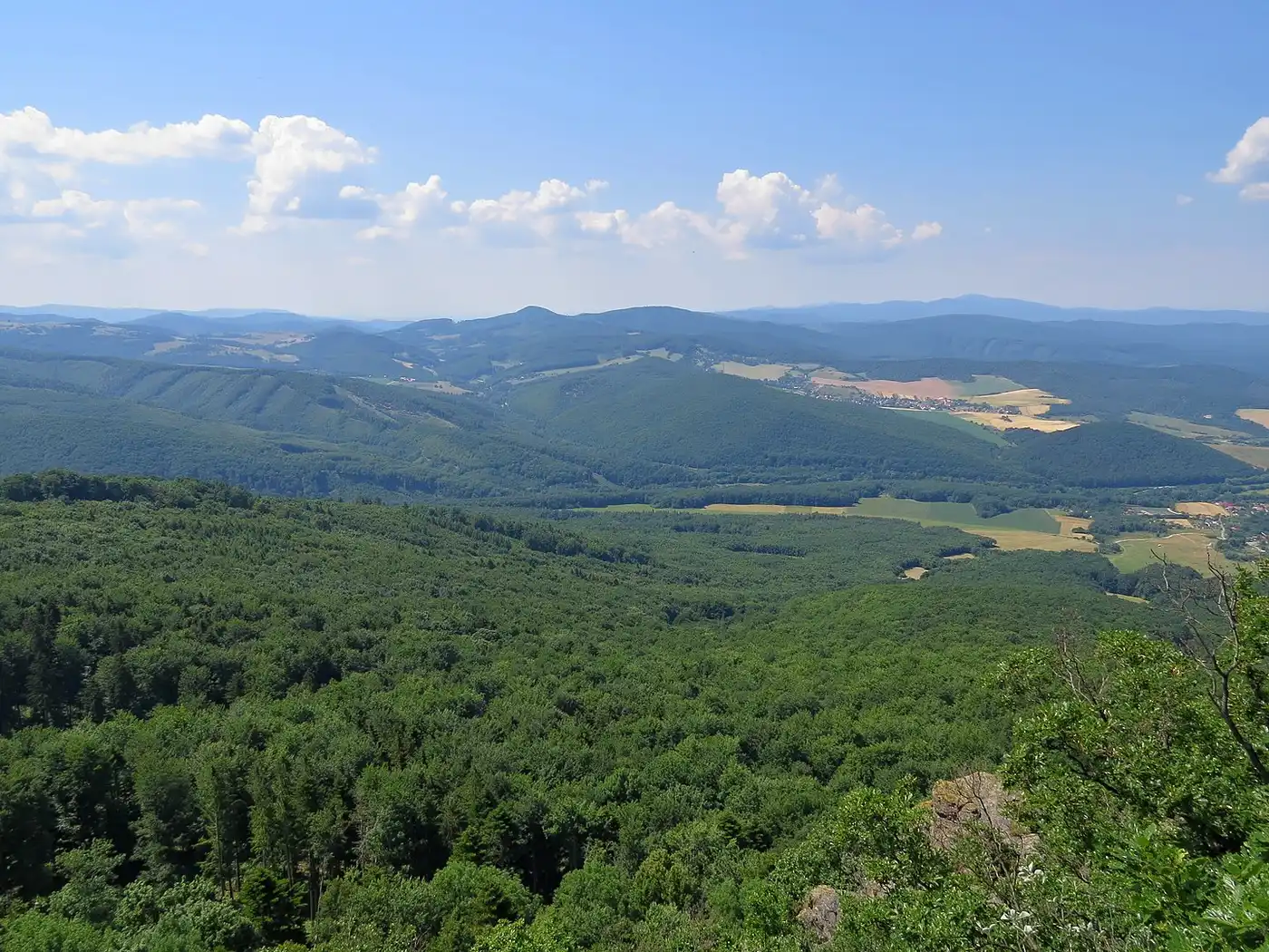 Carpathian Mountain & Plains Mixed Forests (PA14)