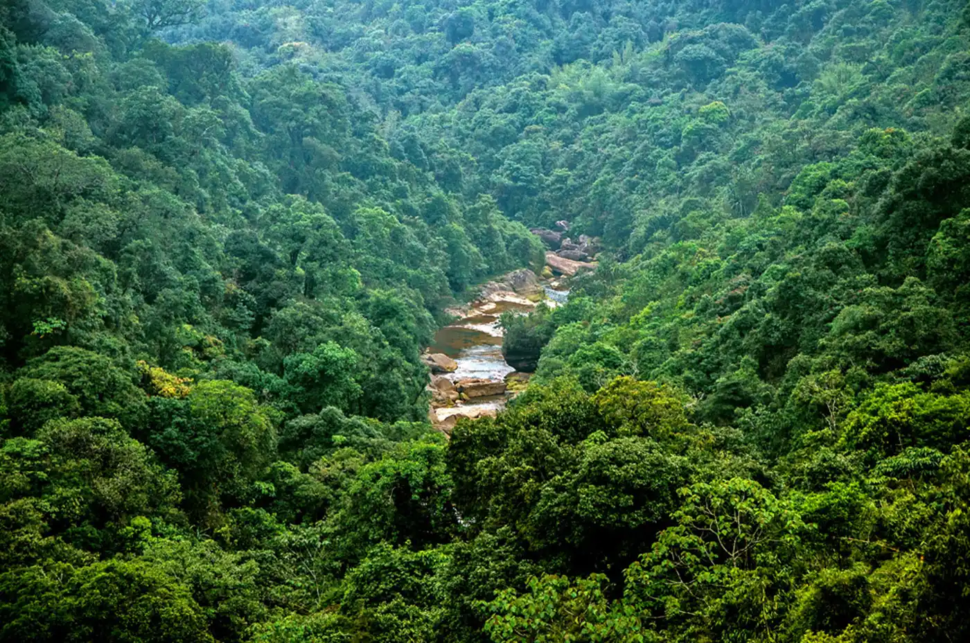 North Indian Tropical Forests & Sundarbans (IM6)
