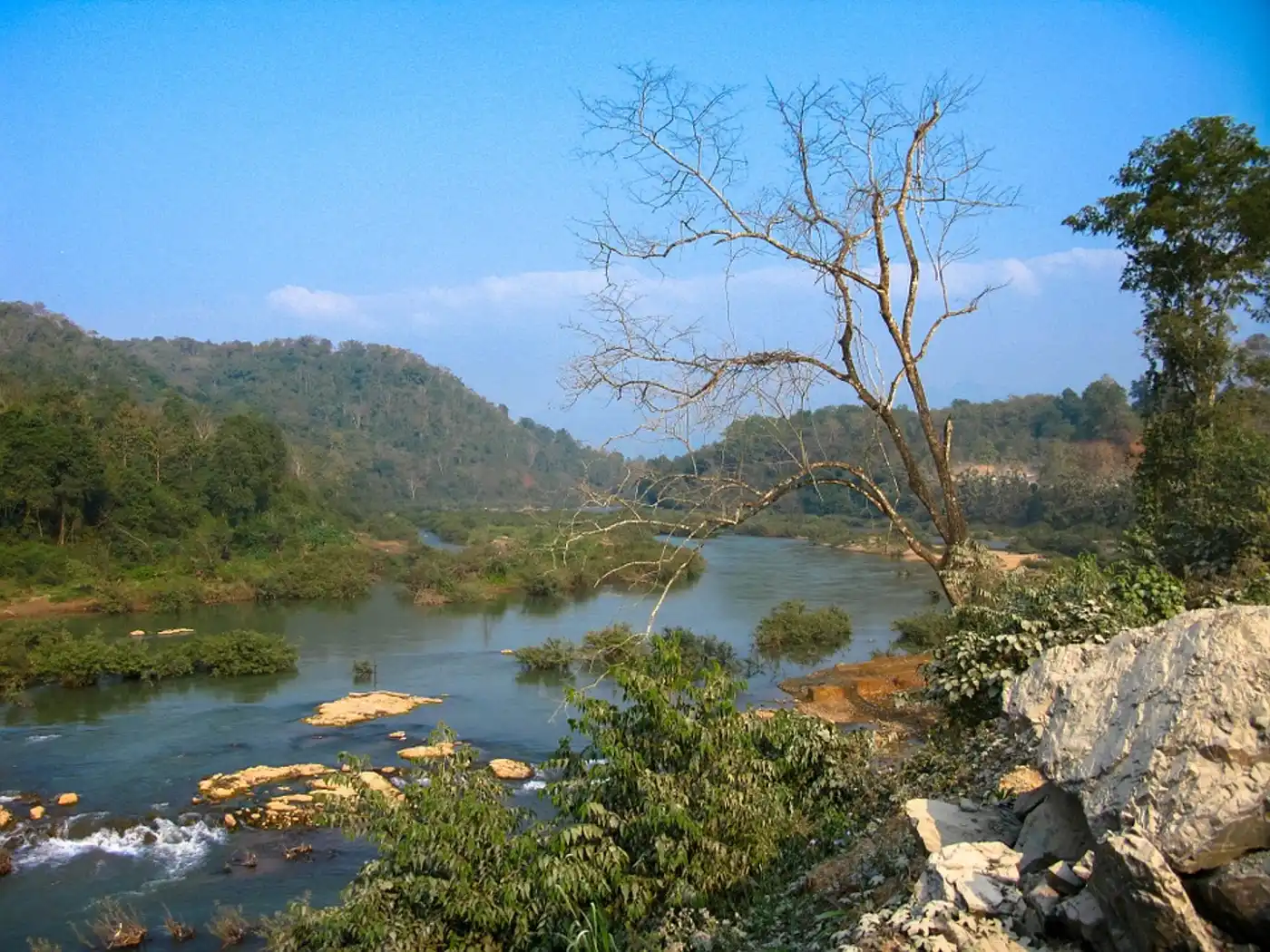 Indochina Mixed Forests & Peatlands (IM12)