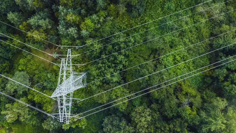 Power transmission towers. Image Credit: Flickr.