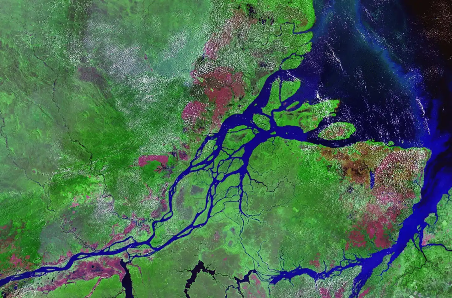 What is a bioregion?