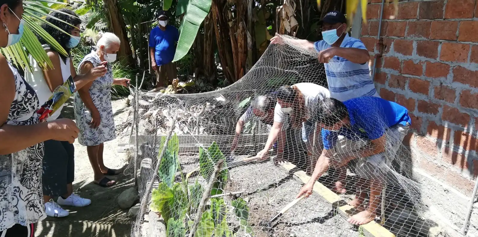 Coordinadora Nacional para la Defensa del Ecosistema Manglar (C-CONDEM)