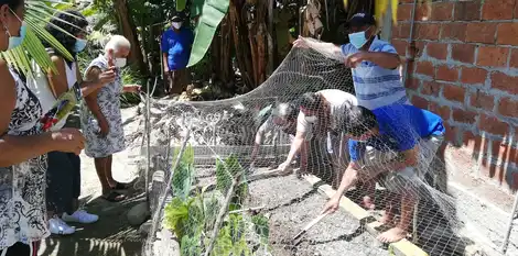 Restoring Mangrove Forests and Indigenous Livelihoods in the Coastal Regions of Ecuador