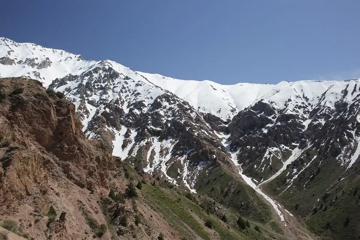 Tian Shan-Pamir Grasslands, Mountain Steppe & Conifer Forests (PA31)