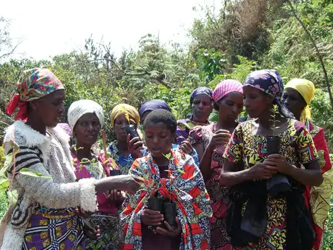 Protecting and Restoring the Itombwe Rainforest through Community Action in the Congo