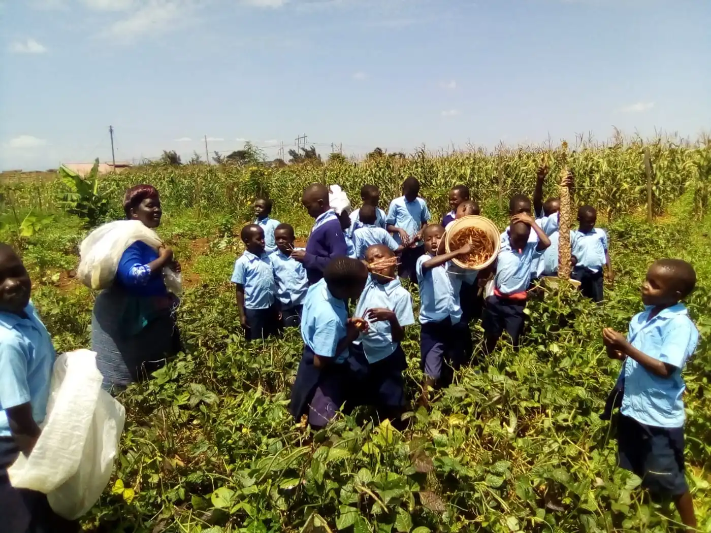 Training a New Generation to Create Resilient Livelihoods Through Permaculture Farming