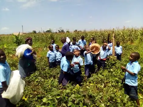 Training a New Generation to Create Resilient Livelihoods Through Permaculture Farming
