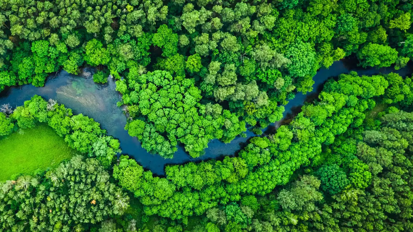 A Guide to Expanding Protected & Conserved Areas under the UN Global Biodiversity Framework