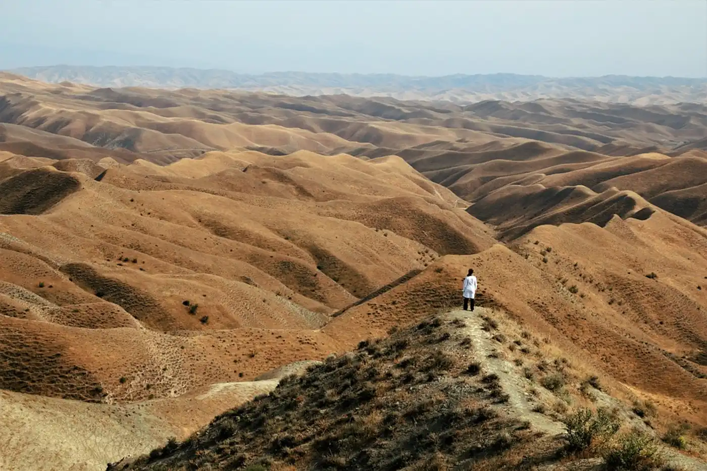 Caspian Sea, Coastal Deserts & Kopet Dagh Mountain Woodlands (PA33)
