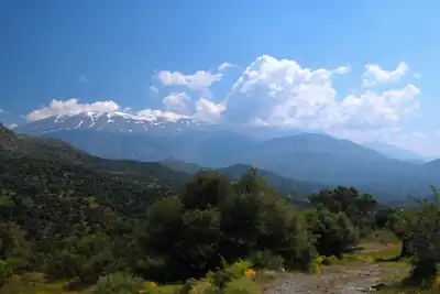 Aegean Sea & East Mediterranean Mixed Forests (PA18)
