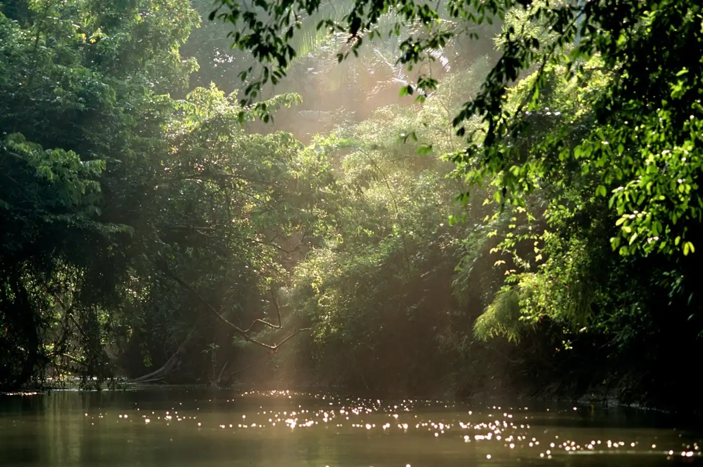 Securing the Boden Creek Corridor in Belize, linking the Mountains and the Sea