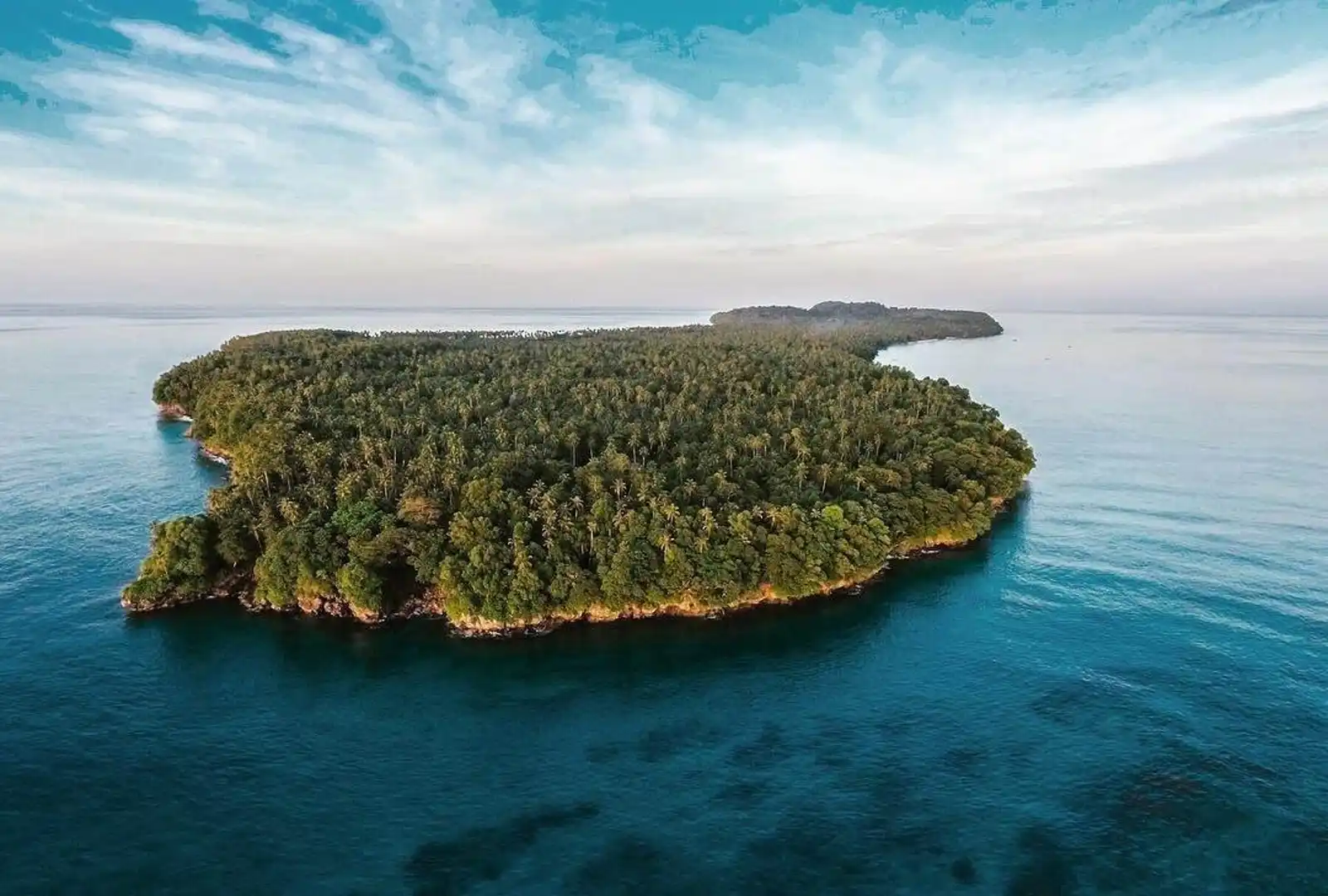 EcosystemImpact