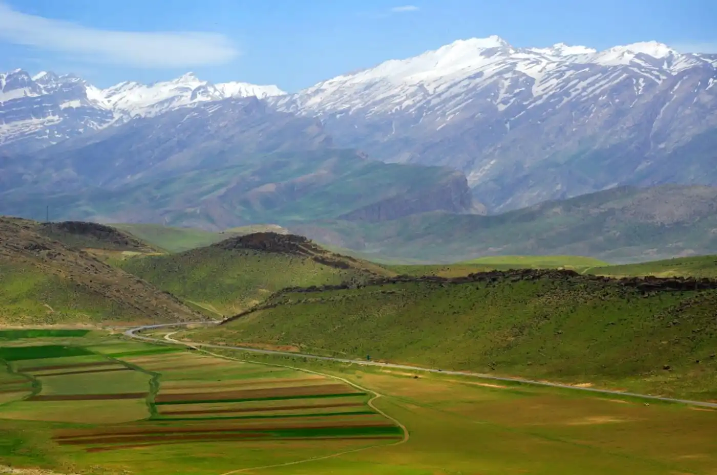 Zagros Mountain Forests & East Anatolian Steppe (PA27)