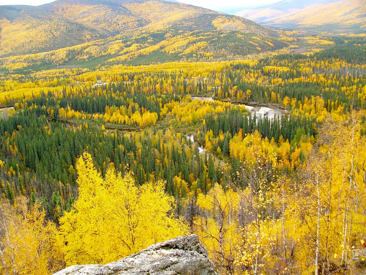 Greater Alaska Taiga & Tundra (NA4)