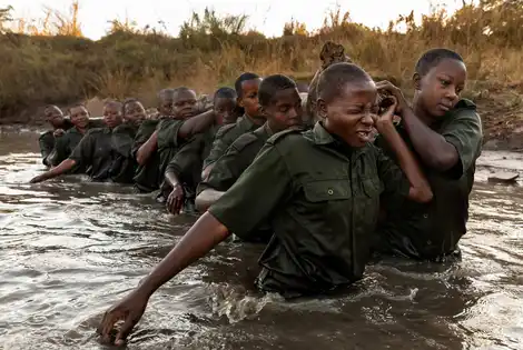 Reopening Wildlife Corridors and Saving Threatened Species in the Sebungwe and Zambezi Regions of Zimbabwe Through Women-led Community Development