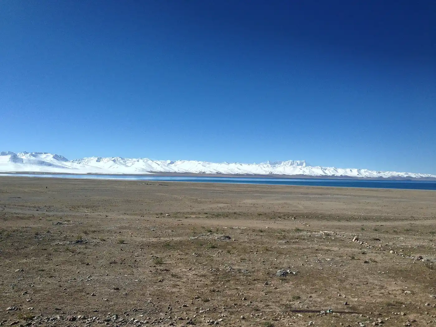 Greater Tibetan Plateau Alpine Meadows & Shrublands (PA40)