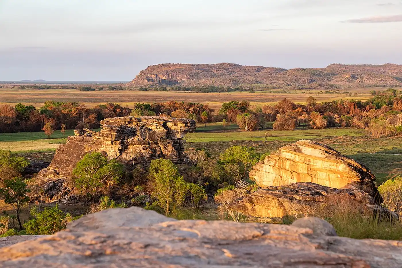 North Australian Tropical Savannas (AU8)