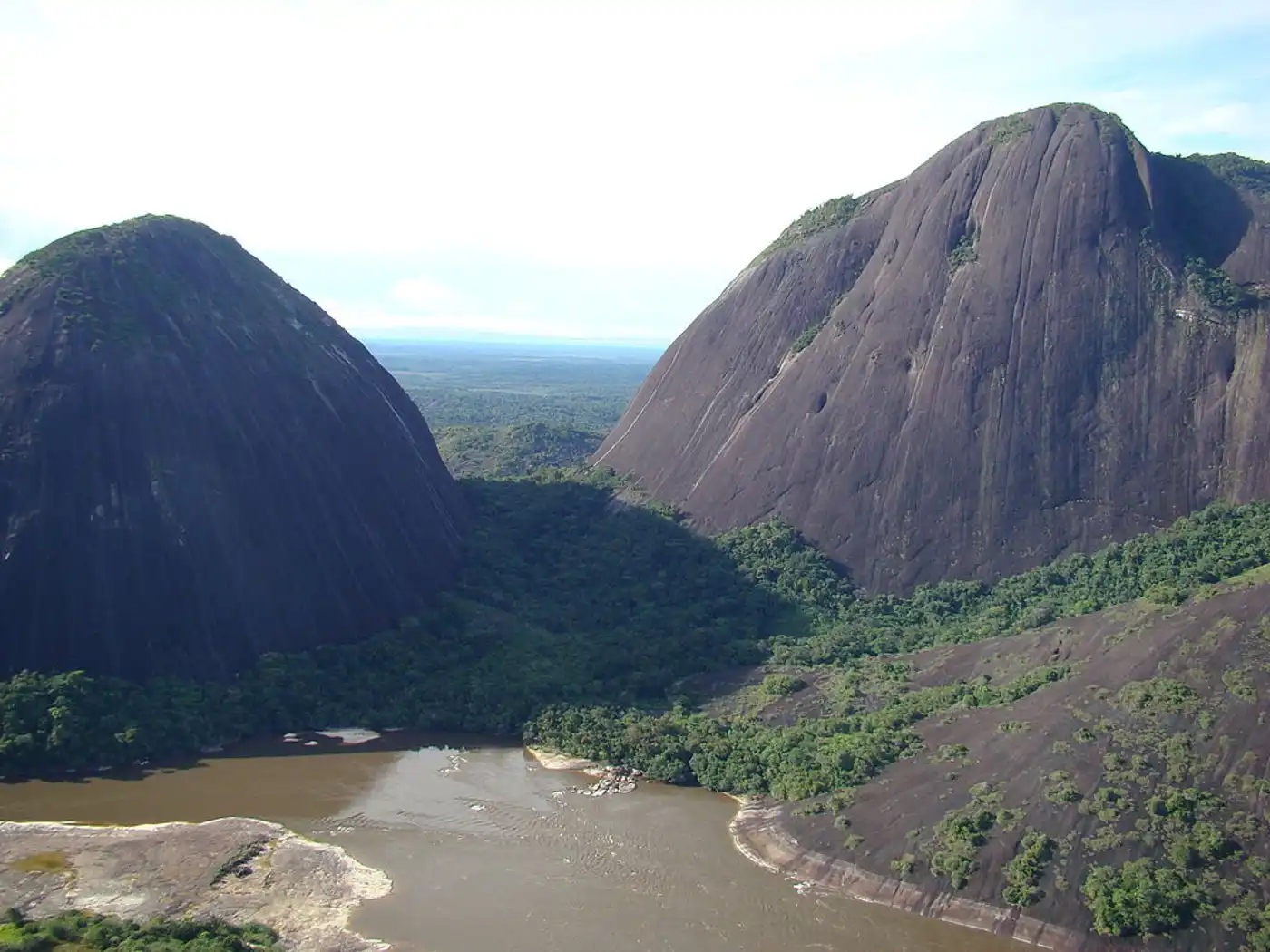 Northern Amazonian Forests (NT20)
