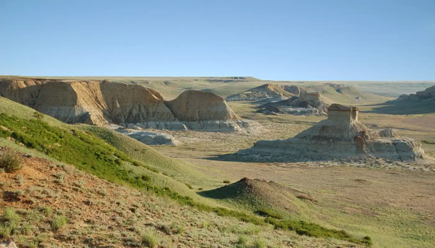 Central Asian Deserts & Riparian Woodlands (PA32)